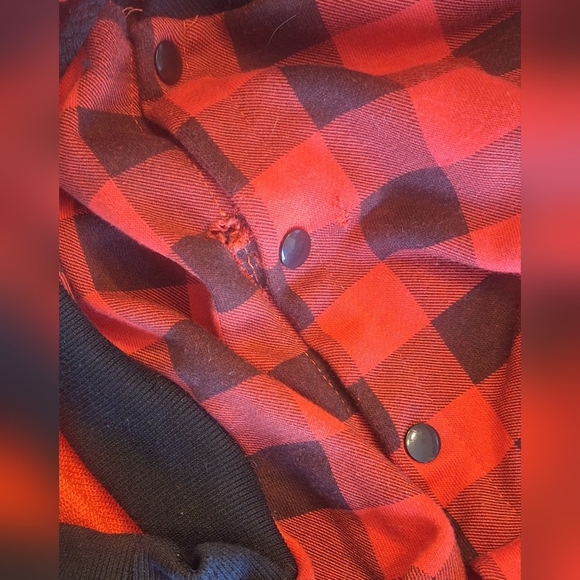 Dog Items Bundle - Picture 3 of 9